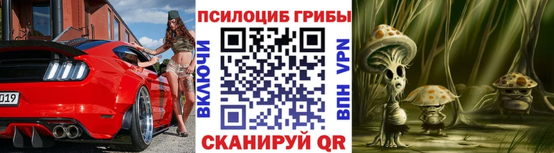 Купить где  Тайшет  Галлюциногенные грибы мухоморы 